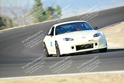 media/Mar-01-2025-Turn8 Trackdays (Sat) [[3bac13d0ad]]/Inter 3/Session 1 (Turns 2 and 3)/